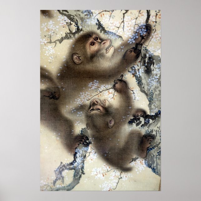 Mori Sosen Monkey i en Blossoming Cherry Träd Poster (Framsidan)