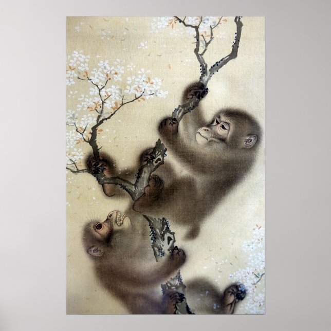 Mori Sosen Monkey i en Blossoming Cherry Träd Poster (Framsidan)