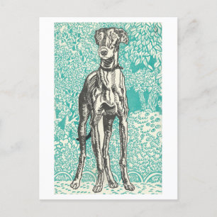 Moriz Jung Greyhound-vykort Vykort