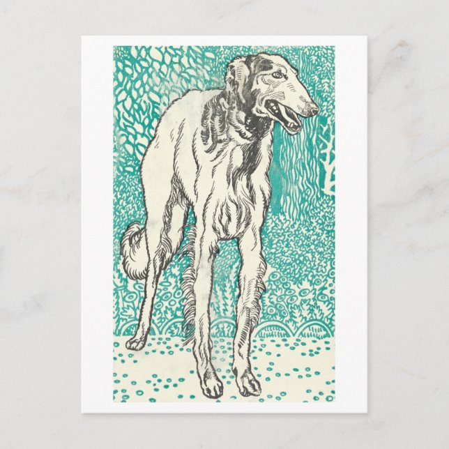 Moriz Jung Greyhound-vykort Vykort (Framsida)