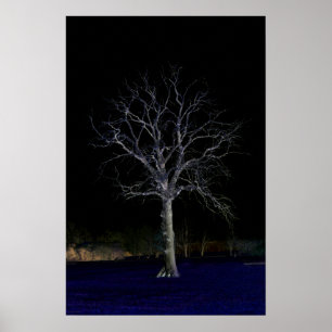 Mörk 11 wapcna poster