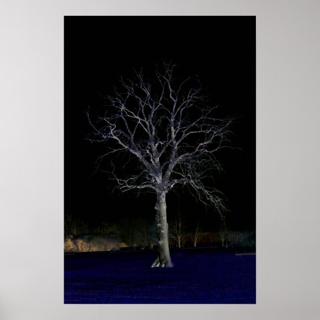 Mörk 11 wapcna poster (Framsidan)