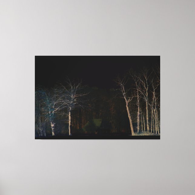 Mörk 4 60 x 40 (150 x 100 cm) vind canvastryck (Framsida)