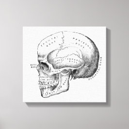 Mörk Academia Skull Canvas Art