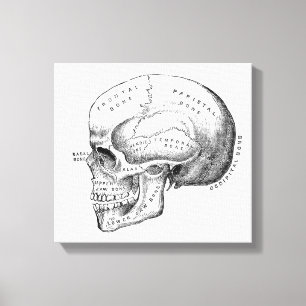 Mörk Academia Skull Canvas Art
