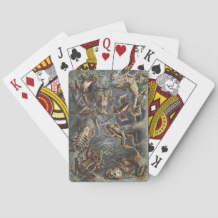 Mörk Akademi Haeckel Vintage Groda Naturtryck Casinokort
