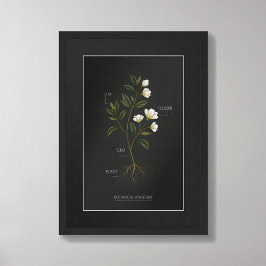 Mörk Akademisk Botanisk Anatomi Poster