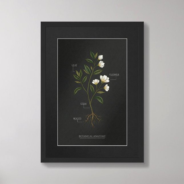 Mörk Akademisk Botanisk Anatomi Poster (Skapare uppladdad)