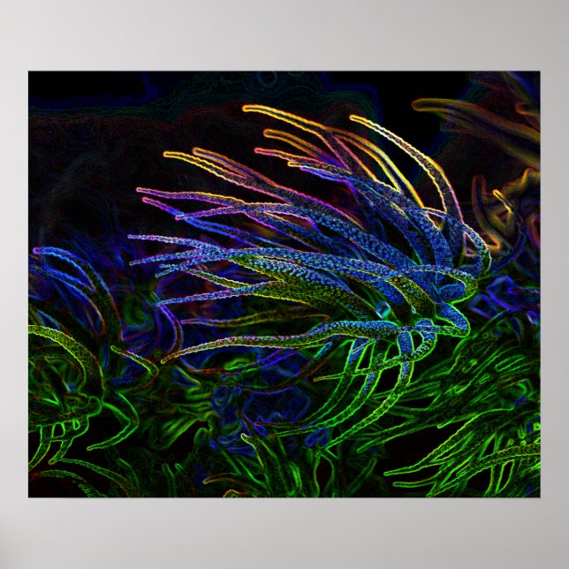 Mörk Art Neon Coral poster av J.W. Fatherree. (Framsidan)