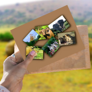 Mörk av afrikansk Wildlife Collage Vykort