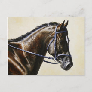 Mörk Bay Dressage Sport Horse Vykort