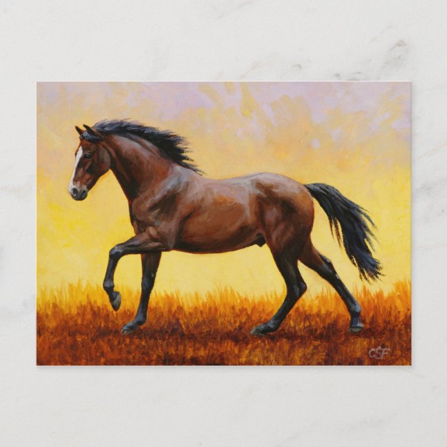 Mörk Bay Stallion Horse Galloping Vykort (Framsida)