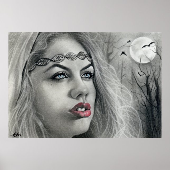 Mörk Beauty Måne Shadows Poster (Framsidan)