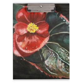 Mörk Begonia i vattenfärg