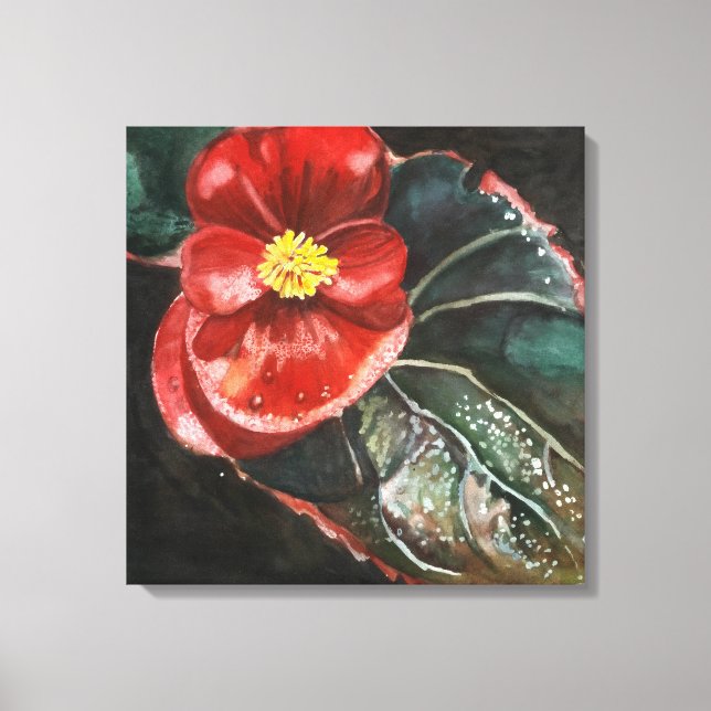 Mörk Begonia i vattenfärg Canvastryck (Framsida)
