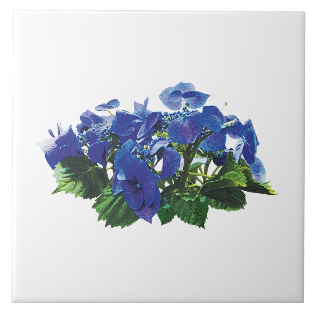 mörk blått Hydrangea Snöre Cap Kakelplatta (Framsidan)