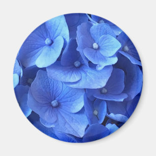 Mörk blått Hydrangeus Magnet