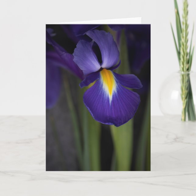 Mörk blått Iris Flower Bouquet Kort (Framsida)