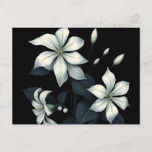 Mörk botanisk av nattblommande jasmin vykort