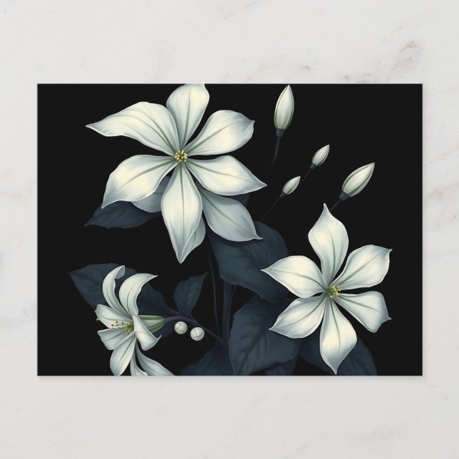 Mörk botanisk av nattblommande jasmin vykort (Framsida)