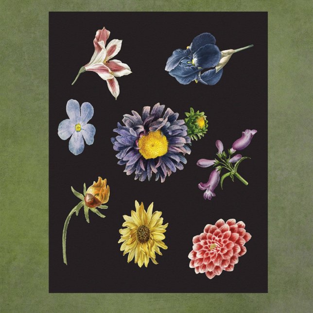 Mörk botaniska blommor på svart poster (Skapare uppladdad)