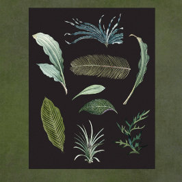 Mörk botaniska växter löv på svart poster