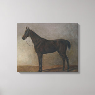 Mörk Brown Gelding Horse (Vintage Animal Art) Canvastryck
