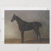 Mörk Brown Gelding Horse (Vintage Animal Art)