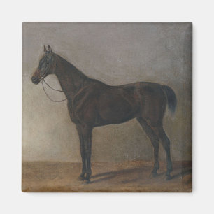Mörk Brown Gelding Horse (Vintage Animal Art) Magnet