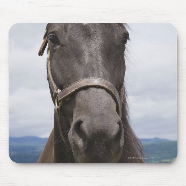 Mörk Brown Horse Musmatta (Framsidan)