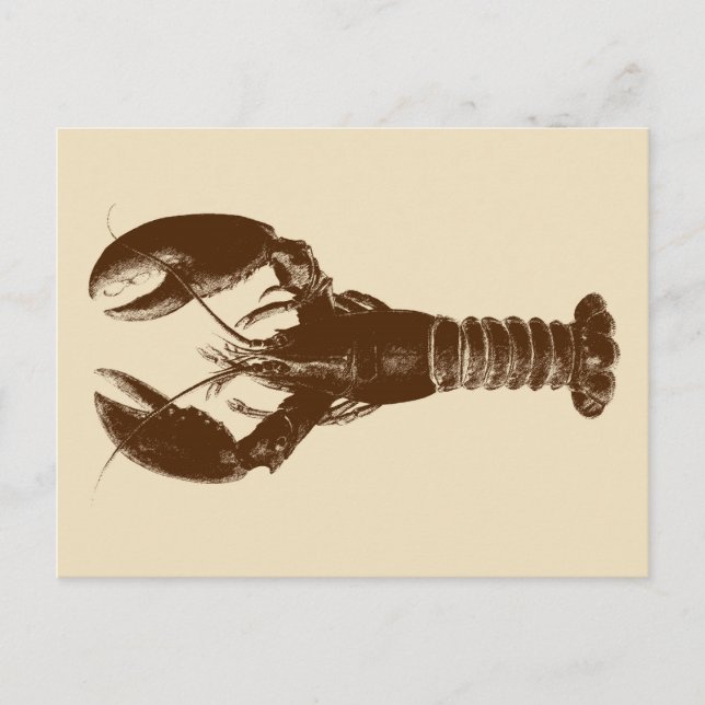Mörk Brown Lobster på Light Beige Vykort (Framsida)