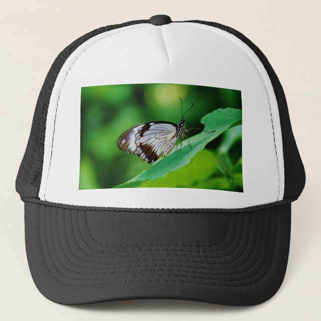 Mörk Brown och Grått Butterfly Truckerkeps (Framsida)