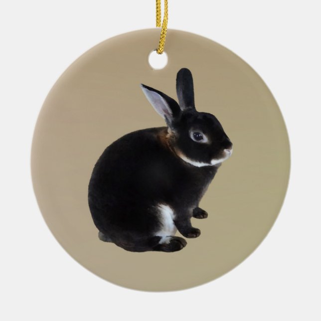 Mörk Brown och White Mini Rex Rabbit Julgransprydnad Keramik (Framsidan)