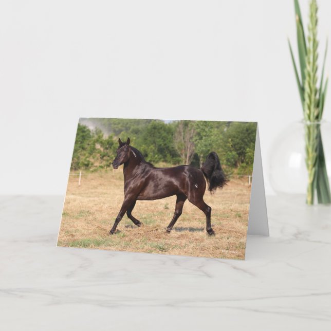 Mörk Brown Spain Mustang Mare Walking Kort (Framsida)