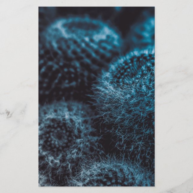 Mörk Cactus Brevpapper (Framsida)