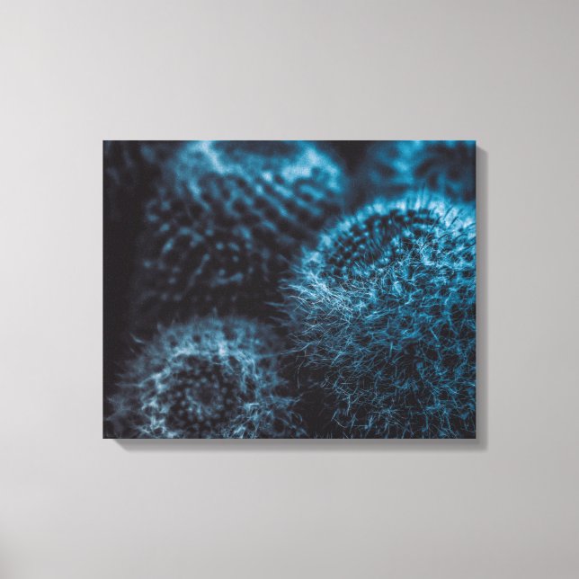 Mörk Cactus Canvastryck (Framsida)