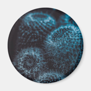 Mörk Cactus Magnet
