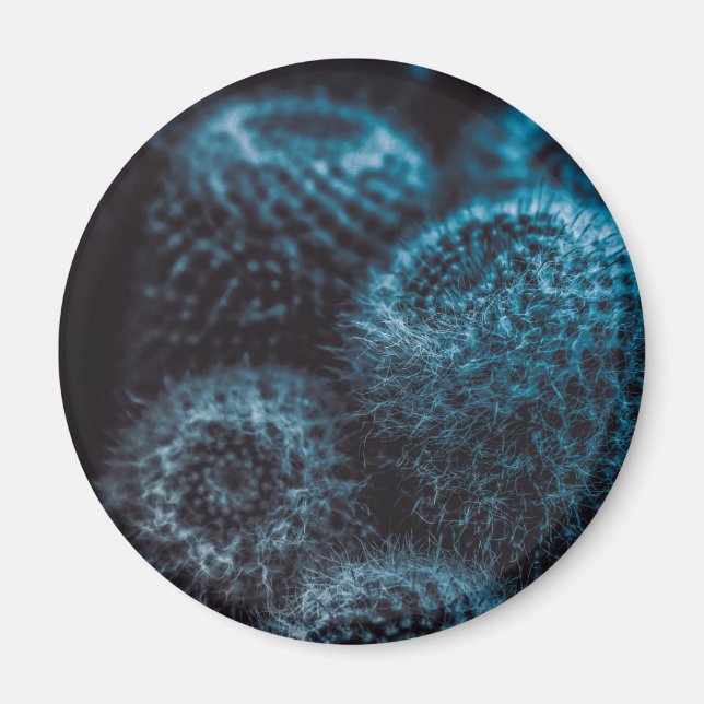 Mörk Cactus Magnet (Framsidan)