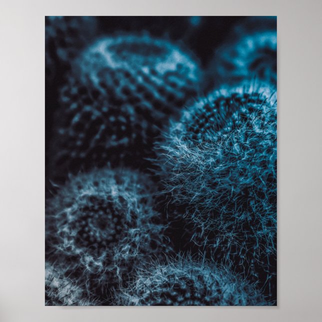 Mörk Cactus Poster (Framsidan)