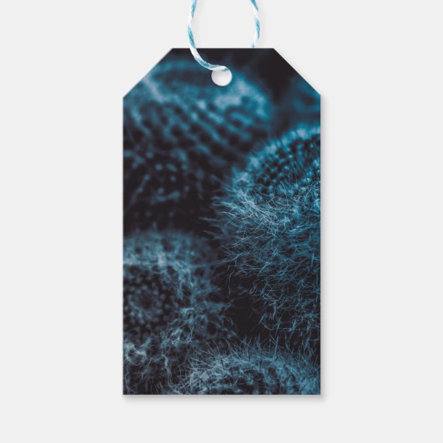 Mörk Cactus Presentetikett (Framsidan)