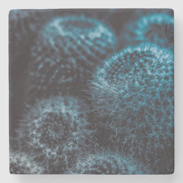 Mörk Cactus Stenunderlägg (Framsidan)