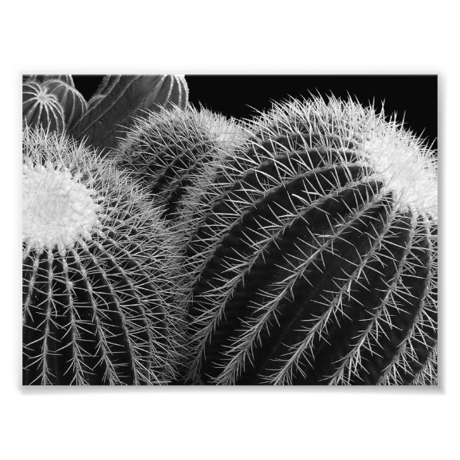 Mörk Desert. Fototryck (Framsidan)