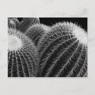 Mörk Desert. Vykort