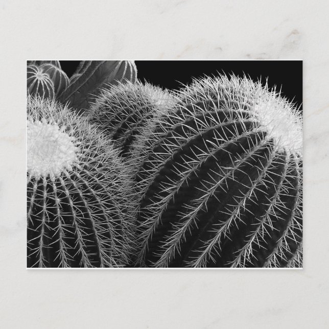 Mörk Desert. Vykort (Framsida)