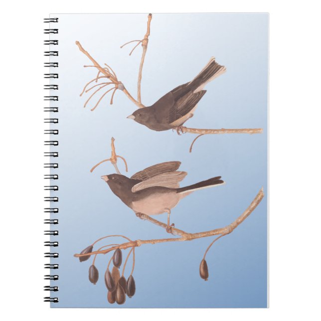 Mörk-Eyed Junco Audubon Snö Birds on Bare Gren Anteckningsbok (Framsidan)