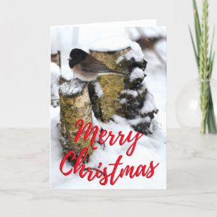 Mörk Eyed Junco Bird Photo jul Card Meddelande