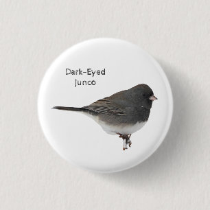 Mörk-Eyed Junco Knapp