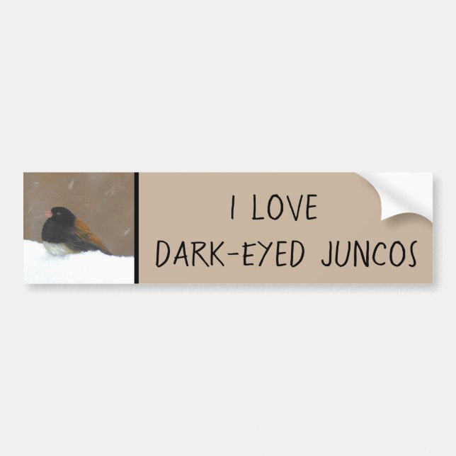 Mörk-Eyed Junco-målning - originalbild av fåglar Bildekal (Framsidan)