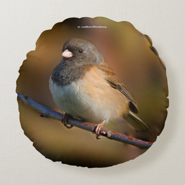 Mörk-Eyed Junco om en lam Rund Kudde (Framsidan)