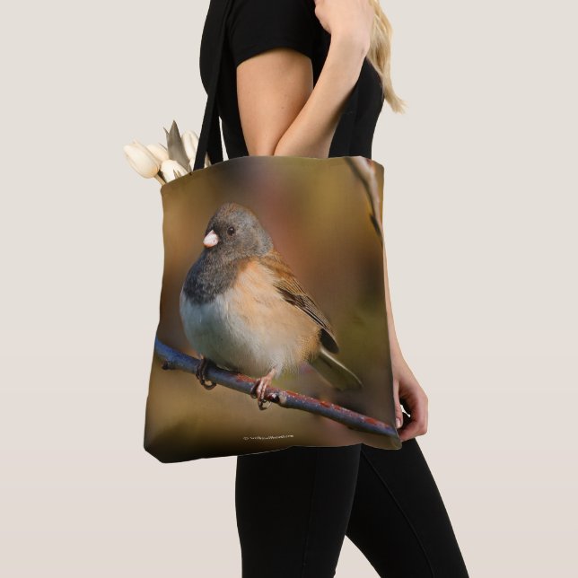 Mörk-Eyed Junco om en lam Tygkasse (Närbild)